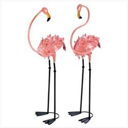 Flamboyant Flamingo Stakes